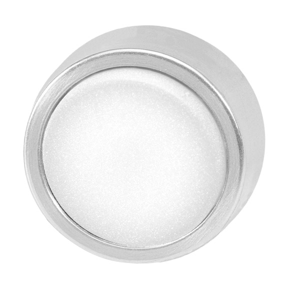 Кнопка белая с фиксацией с подсветкой, в отверстие 22,5мм, IP67, макс. мощность лампы 1,9Вт, с кольцом цвета "алюминий", без маркировки B3DLR WS Benedict