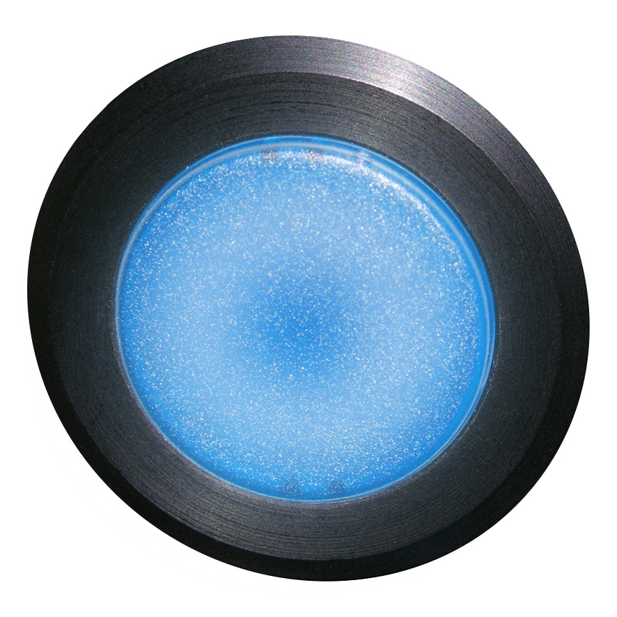 Кнопка синяя с фиксацией с подсветкой, в отверстие 30,5мм, IP67, макс. мощность лампы 1,9Вт, с кольцом черного цвета, без маркировки BS5DLR BL Benedict